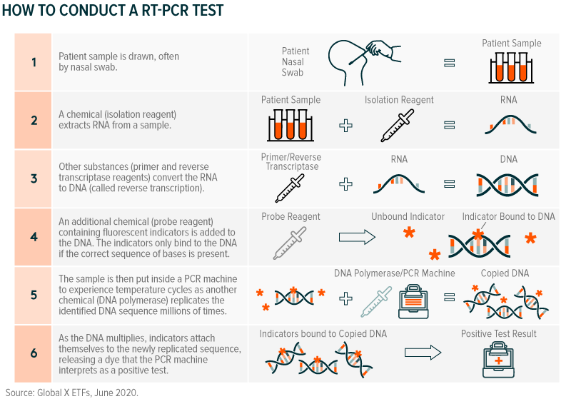 China releases genetic data on new coronavirus, now deadly - CIDRAP