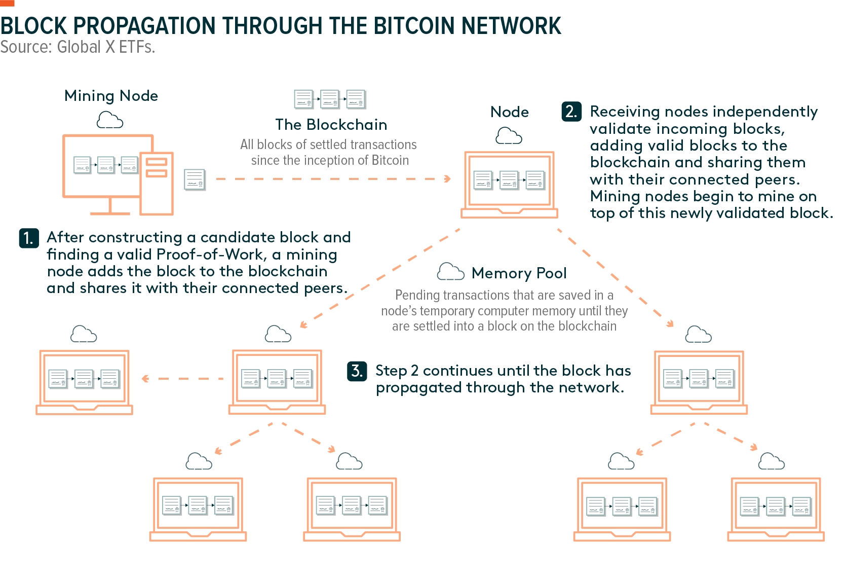 Bitcoin network propagation custody protocol crypto